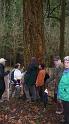 2014 DAV Wandern 5. Jan. klein 015